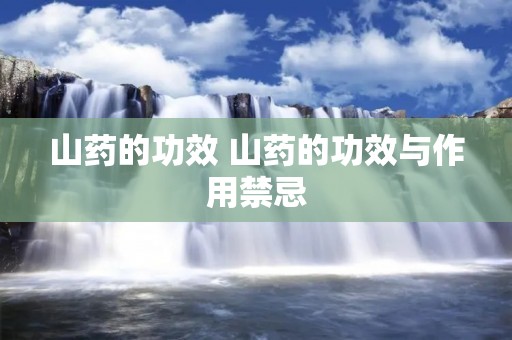 山药的功效 山药的功效与作用禁忌
