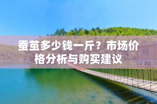 蚕茧多少钱一斤?市场价格分析与购买建议
