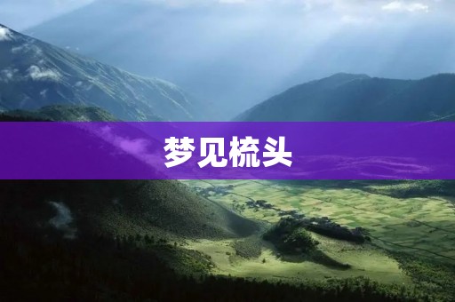 梦见梳头:解梦大全
