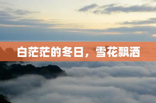 白茫茫的冬日,雪花飘洒