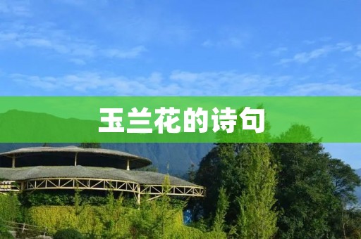 玉兰花的诗句