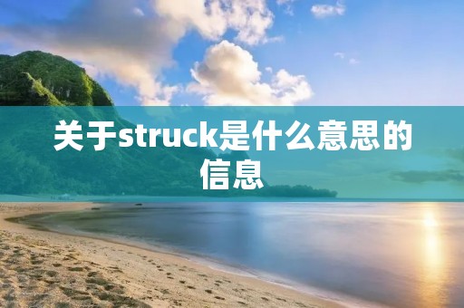 关于struck是什么意思的信息