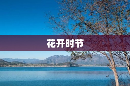 花开时节
