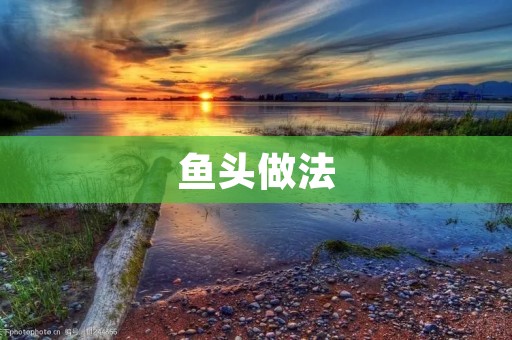 鱼头做法:教你轻松做出美味鲜香的鱼头 鱼头做法:教你轻松做出美味鲜香的鱼头