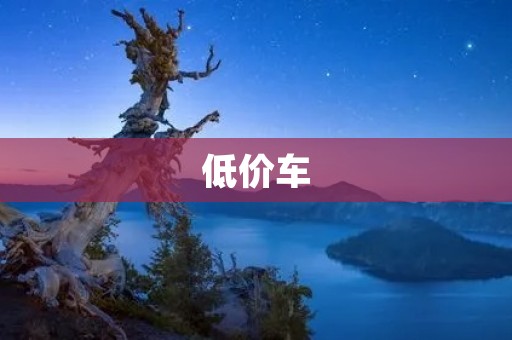 低价车：不同需求的最佳选择
