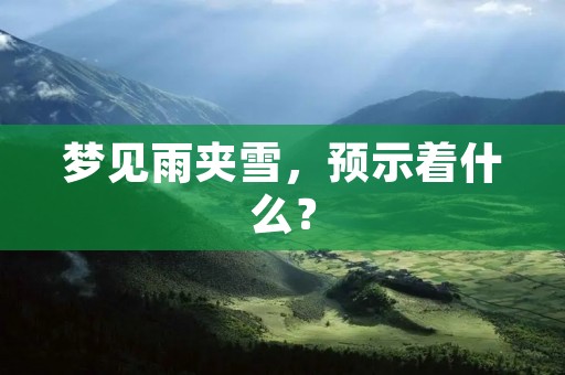 梦见雨夹雪,预示着什么?