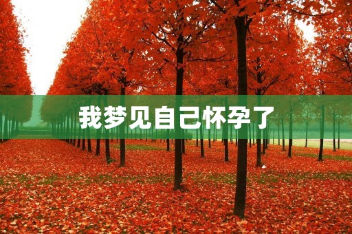 我梦见自己怀孕了