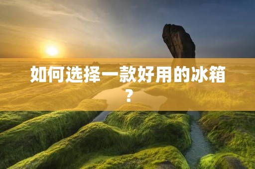 如何选择一款好用的冰箱？