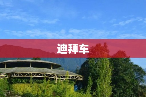 迪拜车:奢华与速度的完美结合 迪拜车:奢华与速度的完美结合