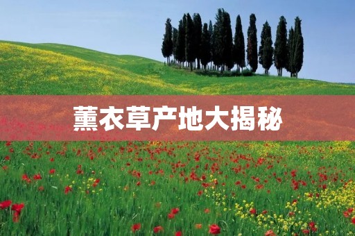 薰衣草产地大揭秘:欧洲、北美、亚洲都有