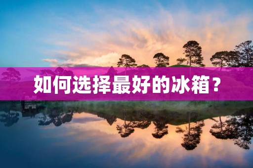 如何选择最好的冰箱?