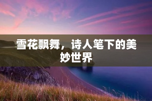 雪花飘舞,诗人笔下的美妙世界