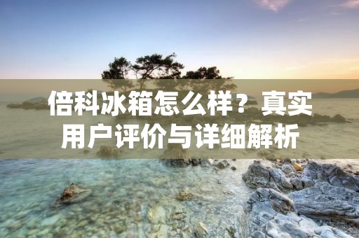 倍科冰箱怎么样？真实用户评价与详细解析
