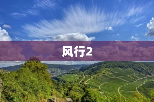 风行2：领先的在线视频平台