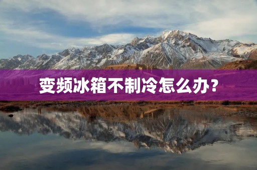 变频冰箱不制冷怎么办？