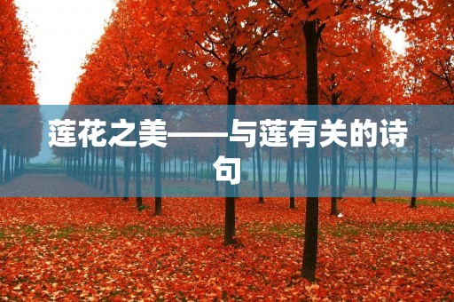 莲花之美——与莲有关的诗句