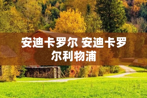 安迪卡罗尔 安迪卡罗尔利物浦 安迪卡罗尔 安迪卡罗尔利物浦