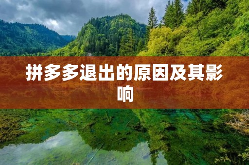 拼多多退出的原因及其影响 拼多多退出的原因及其影响