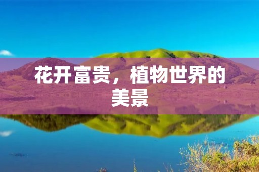 花开富贵,植物世界的美景