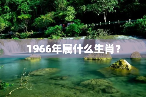 1966年属什么生肖?