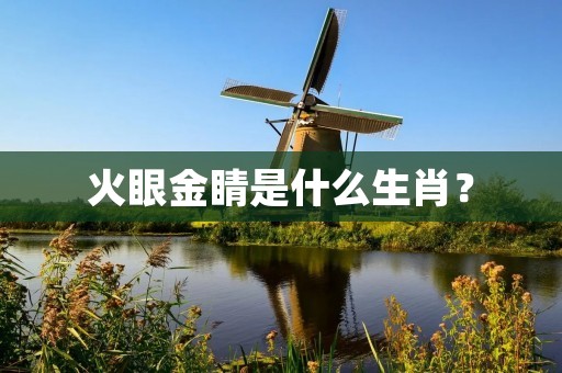 火眼金睛是什么生肖?
