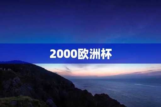 2000欧洲杯：法国的荣耀