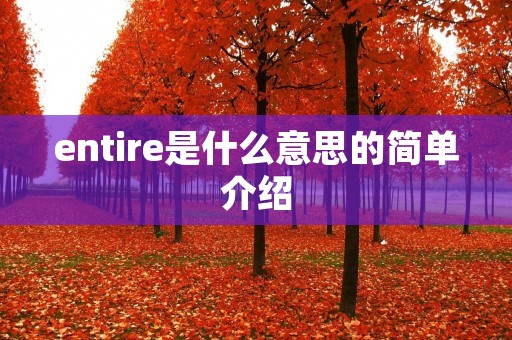 entire是什么意思的简单介绍 entire是什么意思的简单介绍