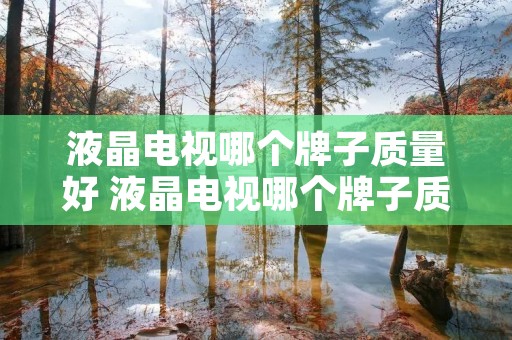 液晶电视哪个牌子质量好 液晶电视哪个牌子质量好又实惠 液晶电视哪个牌子质量好 液晶电视哪个牌子质量好又实惠