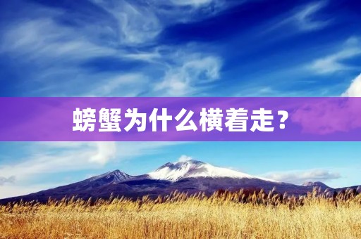 螃蟹为什么横着走？