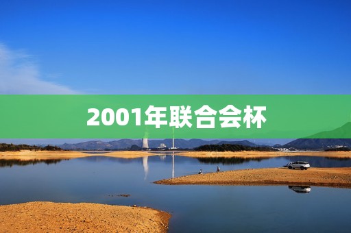 2001年联合会杯：巴西夺冠成为历史上首支三冠王