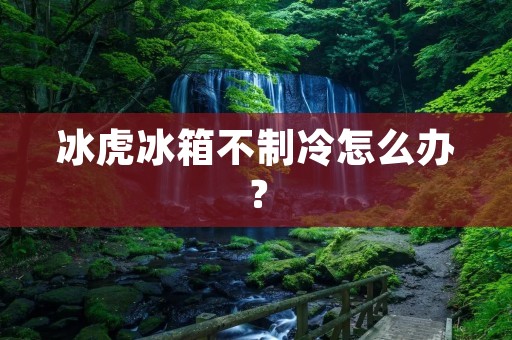 冰虎冰箱不制冷怎么办? 冰虎冰箱不制冷怎么办?