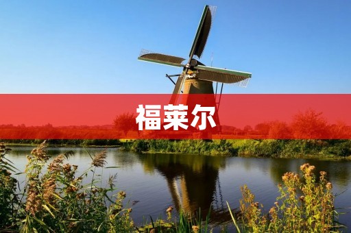 福莱尔：引领医疗行业数字化转型