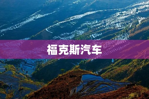 福克斯汽车：中国市场的新宠儿