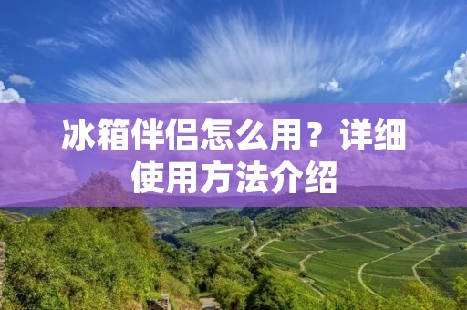冰箱伴侣怎么用?详细使用方法介绍 冰箱伴侣怎么用?详细使用方法介绍