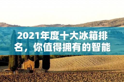 2021年度十大冰箱排名，你值得拥有的智能冰箱推荐