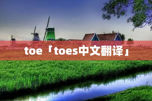 toe「toes中文翻译」