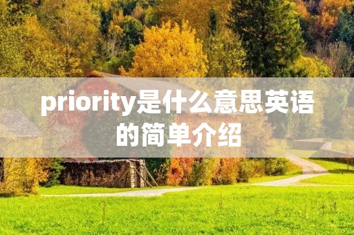 priority是什么意思英语的简单介绍