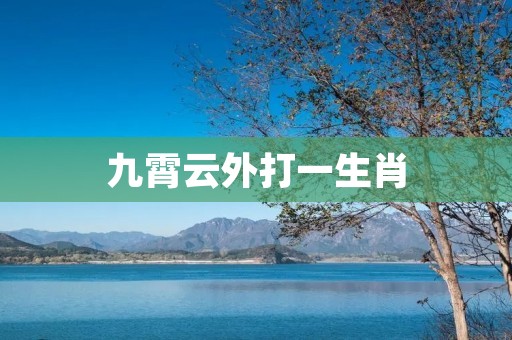 九霄云外打一生肖