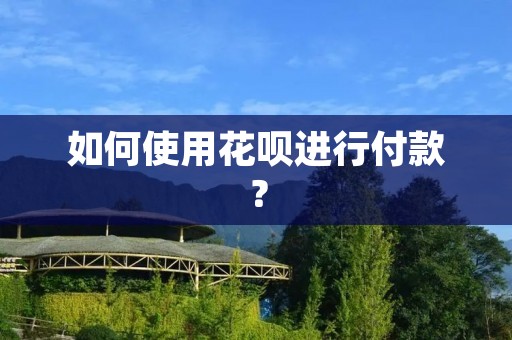 如何使用花呗进行付款？