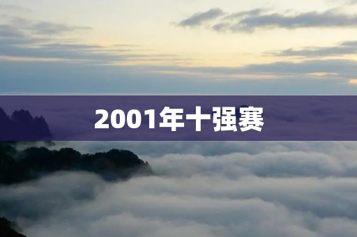 2001年十强赛:中国音乐才华的盛宴 2001年十强赛:中国音乐才华的盛宴