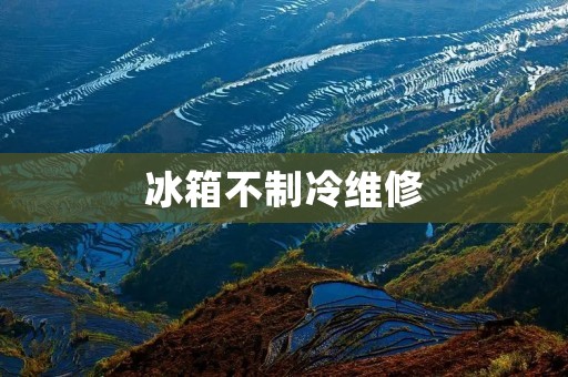 冰箱不制冷维修：如何快速解决冰箱不制冷的问题？