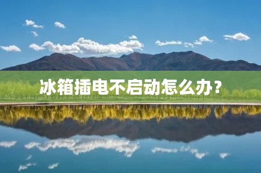 冰箱插电不启动怎么办? 冰箱插电不启动怎么办?