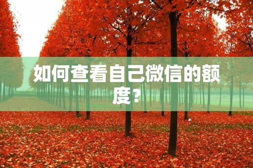 如何查看自己微信的额度？
