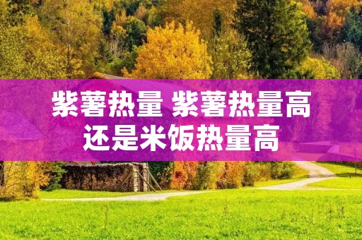 紫薯热量 紫薯热量高还是米饭热量高
