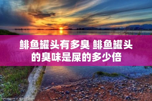 鲱鱼罐头有多臭 鲱鱼罐头的臭味是屎的多少倍