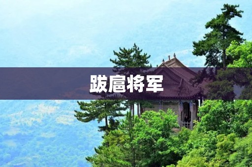 跋扈将军：历史中的权力者