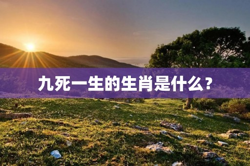 九死一生的生肖是什么?