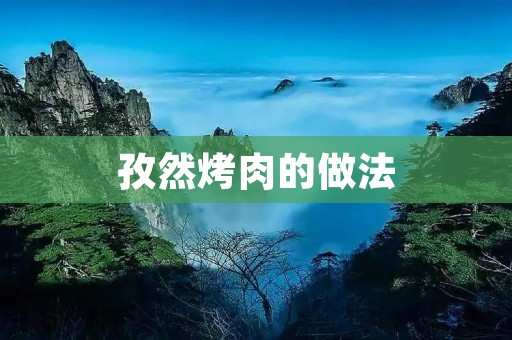 孜然烤肉的做法 孜然烤肉的做法