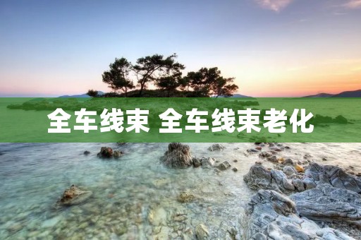 全车线束 全车线束老化