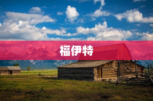 福伊特:领先的电气系统解决方案提供商 福伊特:领先的电气系统解决方案提供商